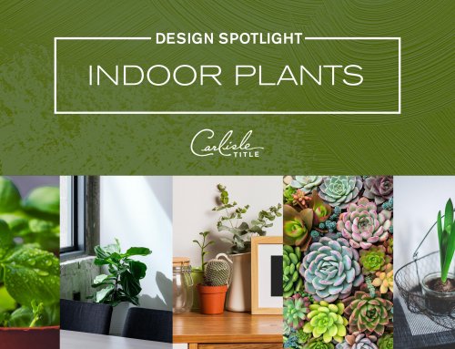 Design Spotlight: Indoor Plants